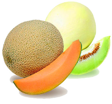 Variedad de Melon